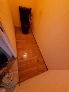 Photo de galerie - Réalisation carrelage et remplacement wc 