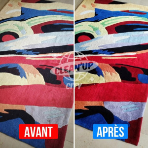 Photo de galerie - Nettoyage tapis