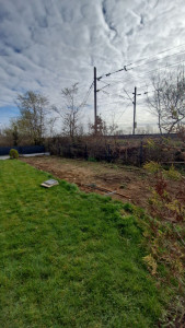 Photo de galerie - Paysagiste - Aménagement du jardin