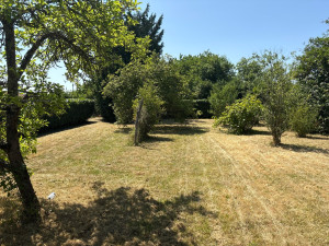 Photo de galerie - Tonte et finition 