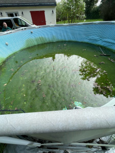 Photo de galerie - Entretien piscine