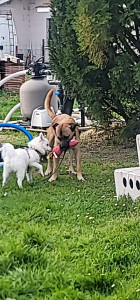 Photo de galerie - Jeux extérieurs 