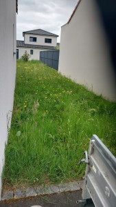 Photo de galerie - Tonte de pelouse - Débroussaillage