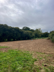 Photo de galerie - Paysagiste - Aménagement du jardin