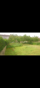 Photo de galerie - Débroussaillage terrain en friche

