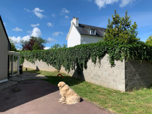 Photo de galerie - Après 