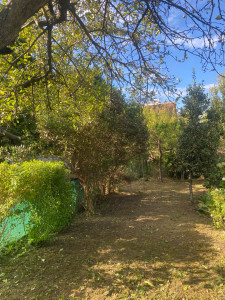 Photo de galerie - Tonte de pelouse - Débroussaillage