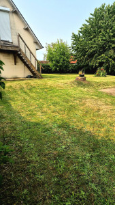 Photo de galerie - Tonte de pelouse - Débroussaillage