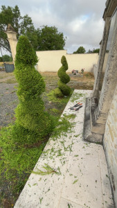 Photo de galerie - Taille topiaire 