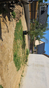Photo de galerie - Début chantier refaire terrain ?