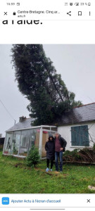 Photo de galerie - Elagage et coupe d'arbres