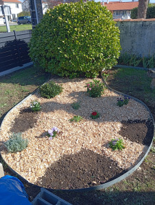 Photo de galerie - Parterre de fleurs 