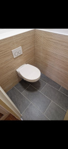 Photo de galerie - Réalisation total wc suspendu 