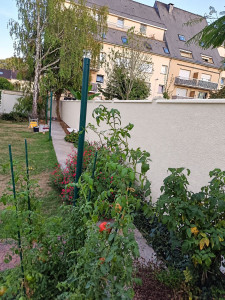 Photo de galerie - Après