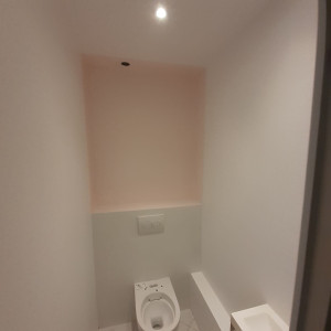 Photo de galerie - Finition Professionnel Enduits et peinture pour une toilette avec deux couleur. 