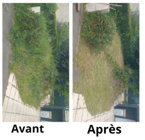 Photo de galerie - Debrouussaillage 