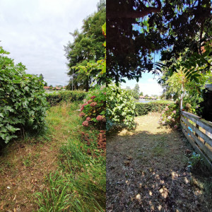 Photo de galerie - Remise en état d'un jardin en bord de Lac