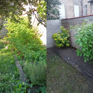 Photo de galerie - Jardinier