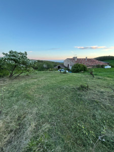 Photo de galerie - Débroussaillage de jardin 