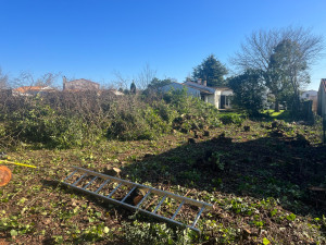 Photo de galerie - Elagage et coupe d'arbres