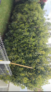 Photo de galerie - (avant)