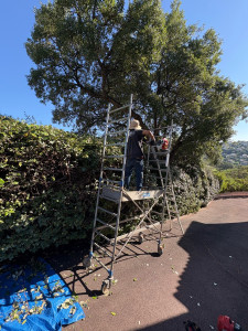 Photo de galerie - Petit aperçu du déroulement de nos chantiers 