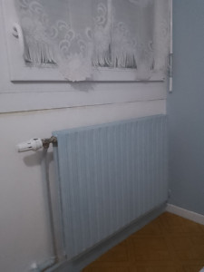 Photo de galerie - Voici un radiateur que j'ai soigneusement peint 