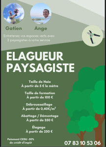 Photo de galerie - Tarifs et prestations que je propose