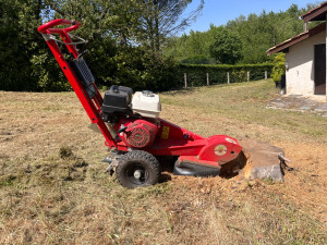Photo de galerie - Elagage et coupe d'arbres