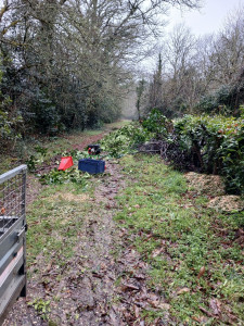 Photo de galerie - Broyage vegetaux avant