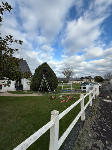 Photo de galerie - Taille d’arbustes 