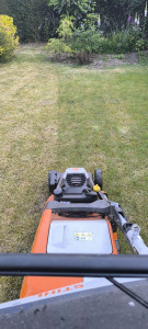 Photo de galerie - Tonte