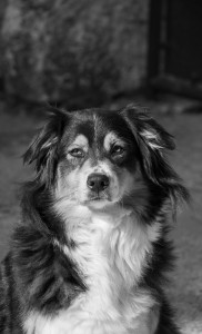 Photo de galerie - Photographe