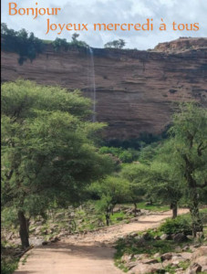 Photo de galerie - Arbres collines, paysagé 