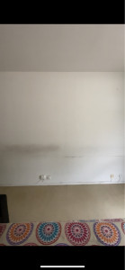 Photo de galerie - Peinture - Tapisserie