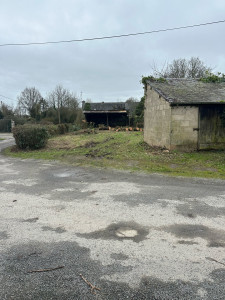 Photo de galerie - Photo après  couper sapin et taillage de la haie