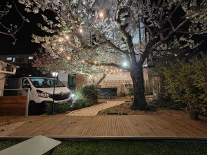 Photo de galerie - Jardin urbain 
