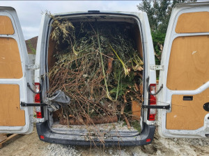 Photo de galerie - Évacuation de déchets verts 