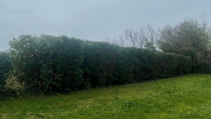 Photo de galerie - APRES