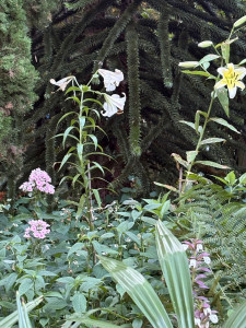 Photo de galerie - Paysagiste - Aménagement du jardin
