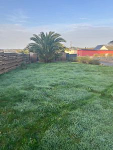 Photo de galerie - Tonte de pelouse - Débroussaillage