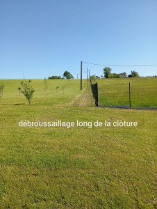 Photo de galerie - Débroussaillage côté clôture 