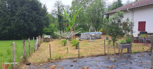 Photo de galerie - Tonte de pelouse - Débroussaillage