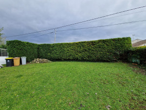 Photo de galerie - Taille de haies avec évacuation