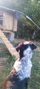 Photo de galerie - S