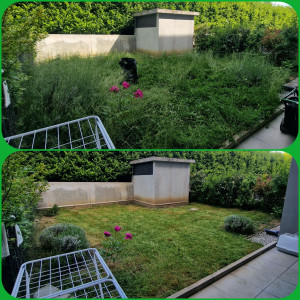 Photo de galerie - Débroussaillage, tonte et taille d'arbustes