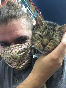 Photo de galerie - Garde de chat