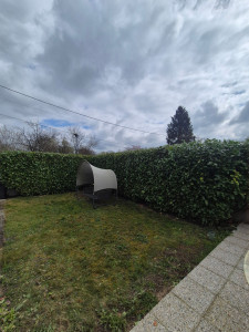 Photo de galerie - Taille de haies de lauriers ?⛏️