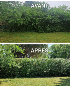 Photo de galerie - .