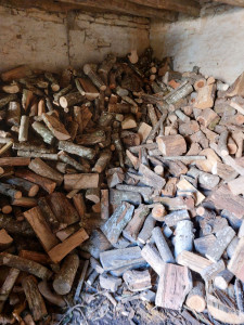 Photo de galerie - Coupe d'arbres pour bois de chauffage 